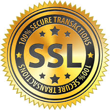 Seal of security showing SSL transactions enabled on this site.